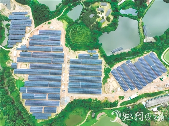 光伏板發(fā)的電不僅滿足養(yǎng)雞場自身需求，還能并入電網(wǎng)，產(chǎn)生經(jīng)濟(jì)效益。