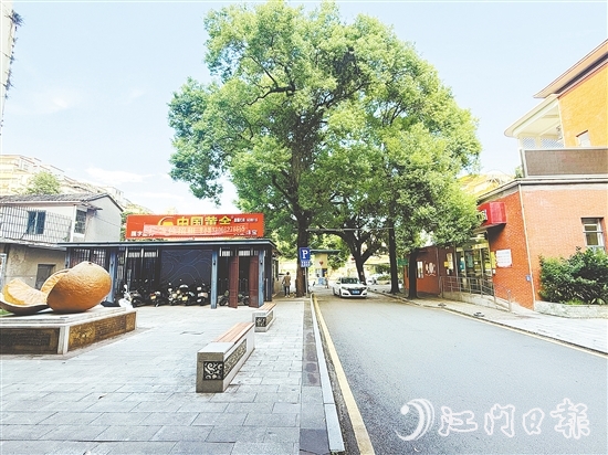會城街道文體服務(wù)中心側(cè)地塊現(xiàn)狀。