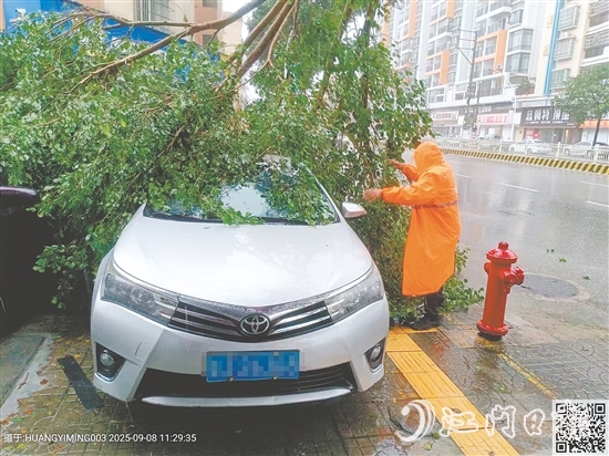 平安產(chǎn)險(xiǎn)查勘員在巡查中看到一輛汽車被倒下的大樹壓住，馬上聯(lián)系車主并協(xié)助清理。