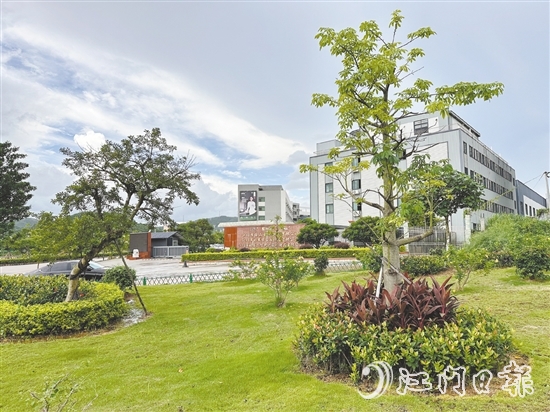 口袋公園不僅為社區(qū)拓展了綠色空間，更成了居民茶余飯后的休閑新去處。