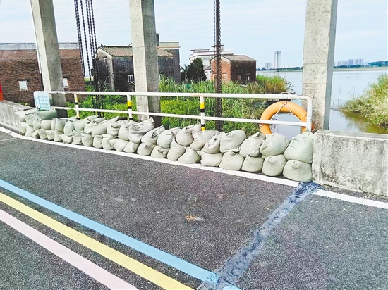 臺(tái)山市大江鎮(zhèn)重點(diǎn)通過堆疊防汛沙包，對(duì)轄區(qū)江邊所有易漫水口進(jìn)行逐一封堵、壓實(shí)，切實(shí)將臺(tái)風(fēng)可能引發(fā)的江水漫溢風(fēng)險(xiǎn)降至最低。李嘉敏