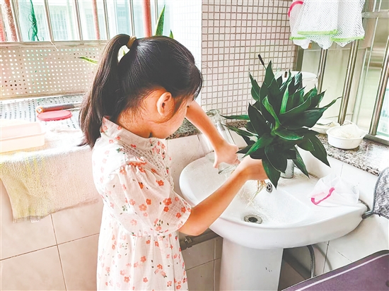 豐樂小學學生清理家里花瓶的積水。