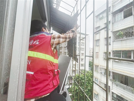 蓬江區(qū)育德社區(qū)網(wǎng)格員協(xié)助屋主及時將松動的鐵皮擋雨板拆下，消除安全隱患。任佳燕