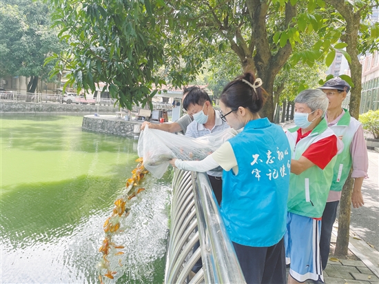 大家協(xié)力將“滅蚊魚”投放到甘化新村的人工湖。