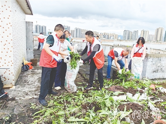 黨員干部在老舊居民樓頂清理廢棄花盆、雜物、亂生植物，不放過任何一個衛(wèi)生死角。
