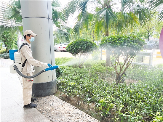 江門市婦幼保健院開展蚊蟲消殺行動，打造“無蚊醫(yī)院”。