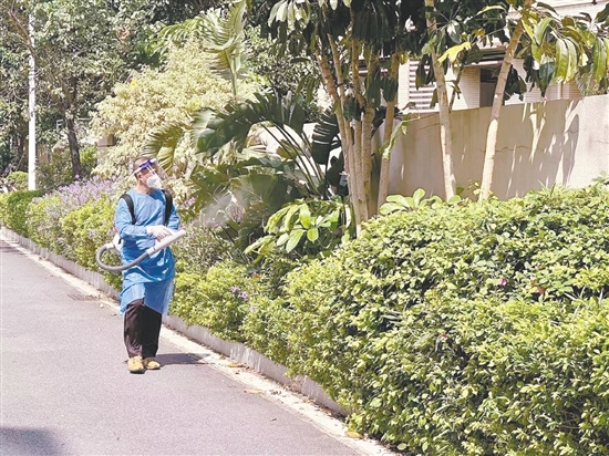 江門市江華小學(xué)對校園內(nèi)外進(jìn)行蚊蟲消殺。