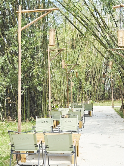 竹林+咖啡