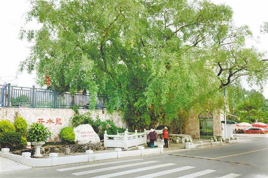 去年，在鄉(xiāng)賢的大力支持下，對(duì)井水龍進(jìn)行了修繕，周邊鋪了石板、種了綠植，以及裝了抽水機(jī)及水龍頭，方便村民取水。