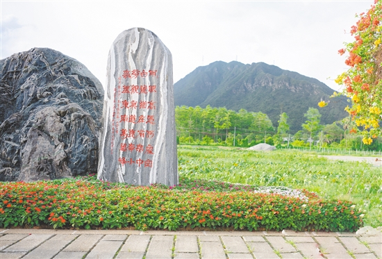 陳白沙景觀石是城西村的網(wǎng)紅打卡點(diǎn)。