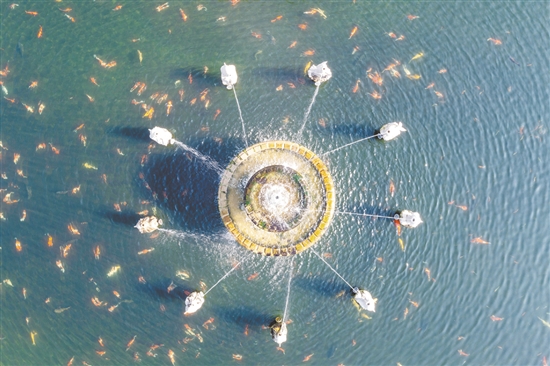 攬?jiān)鲁厥浅俏鞔宕蛟爨l(xiāng)村景觀的代表性項(xiàng)目之一。通過(guò)發(fā)動(dòng)本村華僑和鄉(xiāng)賢助力，結(jié)合自身資源特點(diǎn)建成。