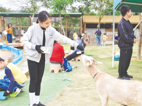 在江門版“瘋狂動(dòng)物城”里，小朋友與小動(dòng)物親密互動(dòng)，感受現(xiàn)實(shí)中的童趣與奇妙。