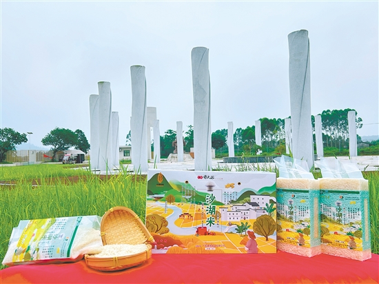 恩平大米成功獲評(píng)國(guó)家地理標(biāo)志農(nóng)產(chǎn)品、全國(guó)名特優(yōu)新農(nóng)產(chǎn)品、國(guó)家區(qū)域公用品牌、廣東省名牌產(chǎn)品，并入選“廣東好大米”十大品牌。