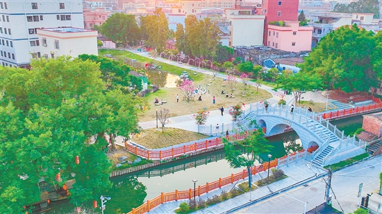 隨著“百千萬工程”的深入推進(jìn)，蓬江區(qū)持續(xù)整治與提升人居環(huán)境，讓鄉(xiāng)村水更清、景更美、環(huán)境更宜居，實(shí)現(xiàn)華麗蝶變。圖為荷塘鎮(zhèn)高村村將荒地魚塘改造為綠美公園。劉淑君