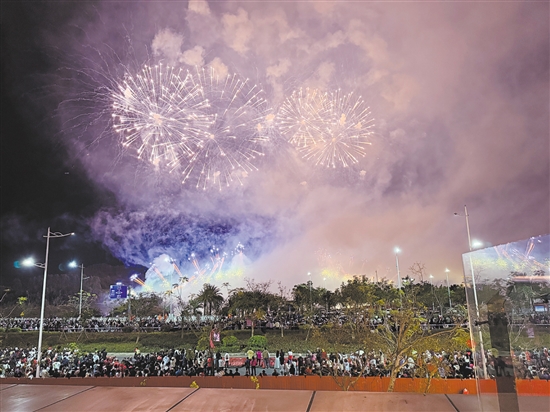 昨晚，在臺山市金星湖濕地公園，璀璨的煙花照亮了夜空。