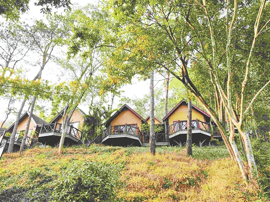 茂名三華李度假區(qū)的森林小木屋帶給阿文不少驚喜。