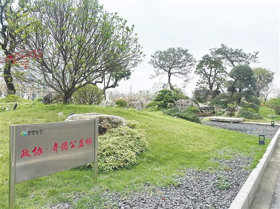 作為設(shè)有“政協(xié)之家”的企業(yè)，奇德新材打造“政協(xié)·奇德公益林”。