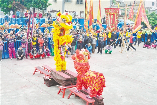 舞獅是花炮會(huì)不可或缺的元素。