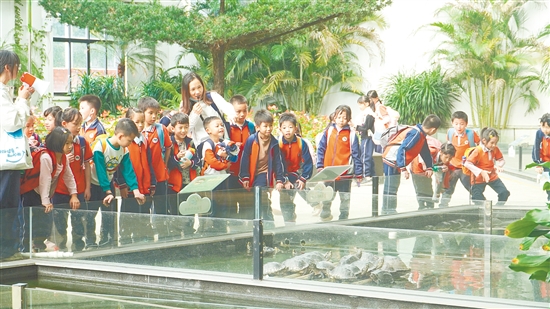 鶴山福倫文旅龜博園聚焦家庭親子、研學(xué)教育等市場(chǎng)。