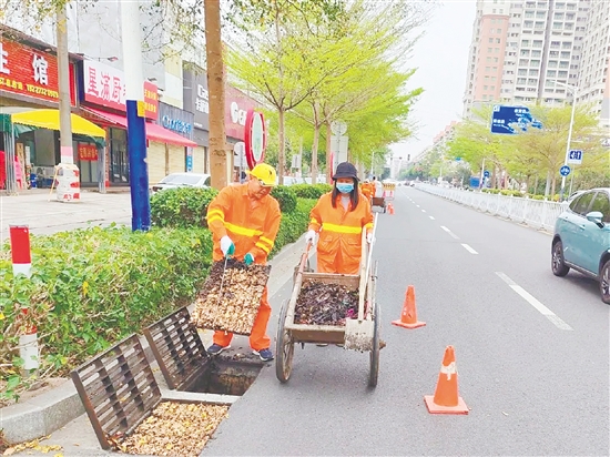臺山市城市管理和綜合執(zhí)法局圍繞環(huán)境衛(wèi)生整治、病媒生物防制等重點任務，聚焦環(huán)衛(wèi)、園林、排水、市政、燃氣五大行業(yè)領域，全面開展治理行動。