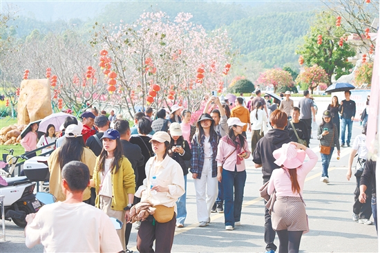 本次活動累計吸引數(shù)萬名市民游客慕名而來。