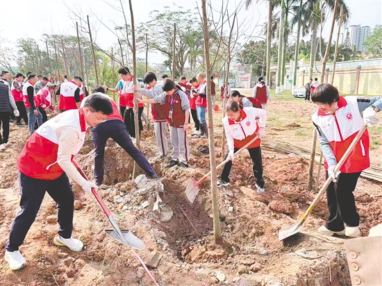 恩平市11個(gè)鎮(zhèn)（街）全域聯(lián)動(dòng)、同步發(fā)力，累計(jì)栽種火山榕、香樟、落羽杉等鄉(xiāng)土適生苗木2300多棵，全力實(shí)現(xiàn)“栽一棵、活一棵，種一片、成一片”的建設(shè)成效。