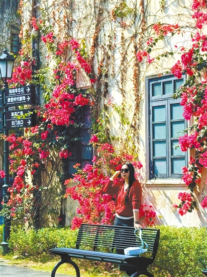 3月的江門變身“花花世界”。