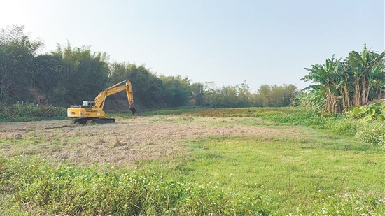 施工隊正在進行開荒，保障后續(xù)早造播種。
