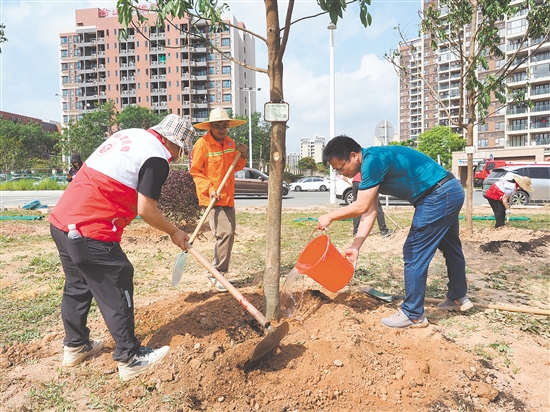 參加活動人員落鏟培土、扶苗澆水，合力為臺山添上新綠。