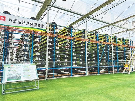 廣東供銷天禾臺山智慧農(nóng)場已建成1728平方米智能化育秧溫室，創(chuàng)新采用W型循環(huán)運(yùn)動立體育秧系統(tǒng)，4.5秒即可完成單盤育秧工序。