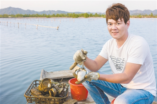 深井鎮(zhèn)盤活小江村占地面積827平方米的閑置用房，投入150萬(wàn)元完成生蠔加工工場(chǎng)及專賣店建設(shè)項(xiàng)目，推出金蠔、蠔豉、蠔油等加工產(chǎn)品。圖為生蠔養(yǎng)殖基地。