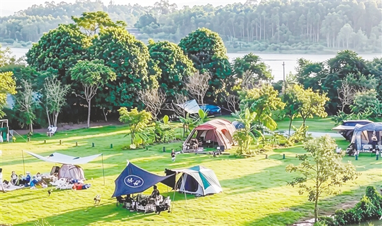 森瀾咖啡莊園內(nèi)的露營(yíng)基地頗受歡迎。