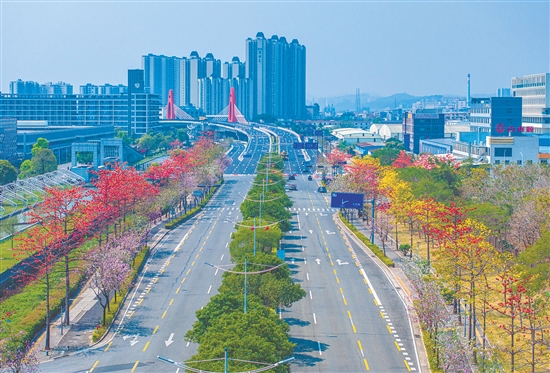 江海區(qū)持續(xù)推進(jìn)基礎(chǔ)設(shè)施建設(shè)，進(jìn)一步完善交通網(wǎng)絡(luò)。圖為金甌路西延線。