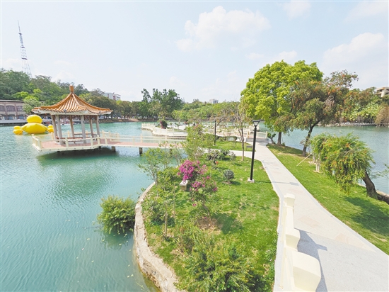 臺城寧城公園人工湖南湖四季花島新植鳳凰木、風(fēng)鈴木等綠植，點(diǎn)綴人工湖景色。