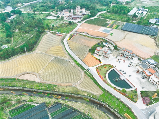 鶴城鎮(zhèn)城西村“錦繡城西”開展農(nóng)用地整治實(shí)景圖。
