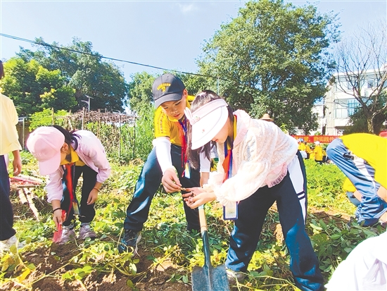 雙橋小學(xué)積極用好學(xué)校勞動實(shí)踐基地“藕耕苑”，在勞動教育中融入德育。