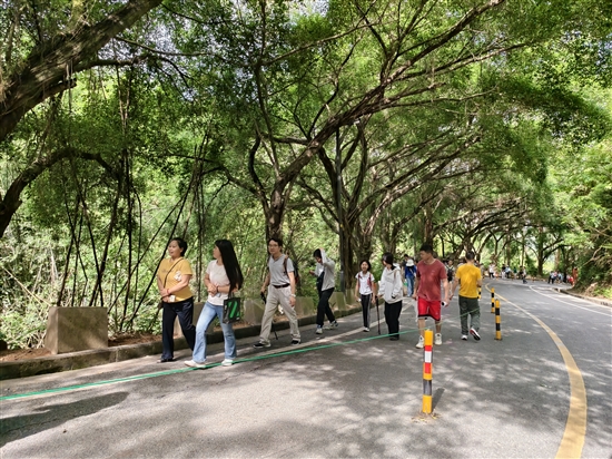 參賽職工沿著蜿蜒山道健步前行，在暢快運(yùn)動(dòng)的同時(shí)，沉浸式領(lǐng)略大雁山的秀美風(fēng)光。