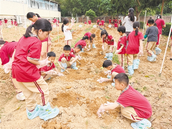 該校打造“幸福勞動種植基地”，讓學(xué)生全程參與播種、養(yǎng)護(hù)、生長、收獲全周期農(nóng)耕體驗(yàn)。