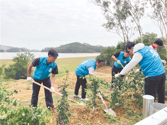 活動在環(huán)湖碧道沿線種下1000棵簕杜鵑，勾勒出一道清新靚麗的生態(tài)風(fēng)景線。