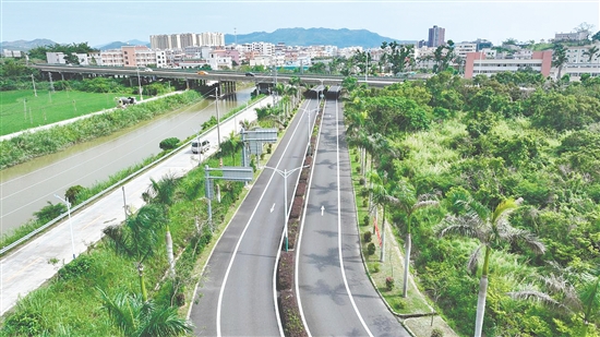 臺(tái)山聚焦高快速公路出入口、樞紐互通、服務(wù)區(qū)、國省道干線等關(guān)鍵節(jié)點(diǎn)，全域推進(jìn)公路沿線綠化品質(zhì)提質(zhì)升級(jí)。