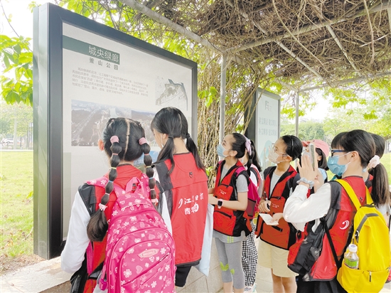 小記者們邊走邊看，感受江海城市品質(zhì)提升。