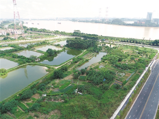 成交地塊西側(cè)為一線西江，景觀一流。