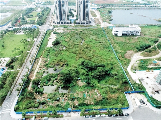 編號(hào)為JCR2024-164（江海10）號(hào)的商住用地位于江海區(qū)35號(hào)地規(guī)劃五路和龍湖路交界東南側(cè)。