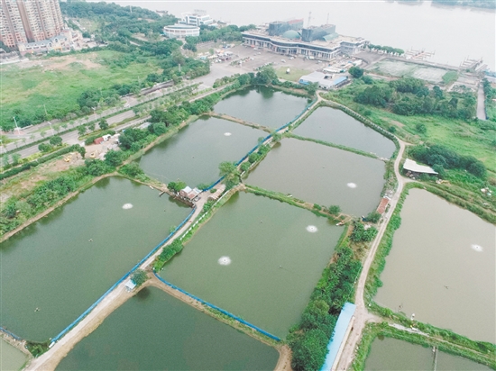 臨江路與金甌路交界西南側(cè)地塊位于外海港澳碼頭西側(cè)。