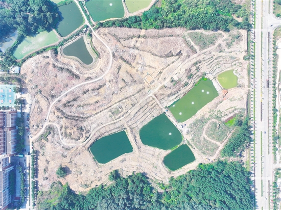 本次競拍的蓬江24、25、26號地為相連地塊。