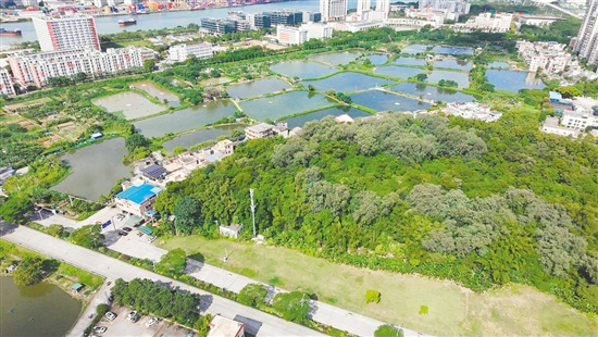 江門市JCR2025-148（蓬江22）號地。