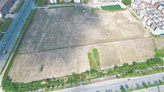 今年9月，開平市富元房地產(chǎn)開發(fā)有限公司以總價(jià)1.1億元拿下開平市長沙街道樓岡大道24號地塊。