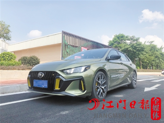 影豹的外觀運(yùn)動(dòng)感十足。