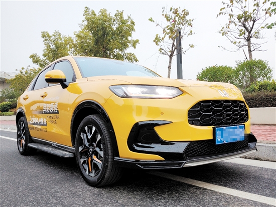 致在配色大膽，充滿運動氣息。